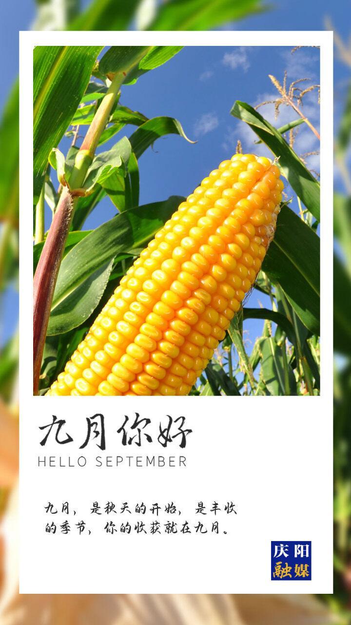 【海報】九月，你好！